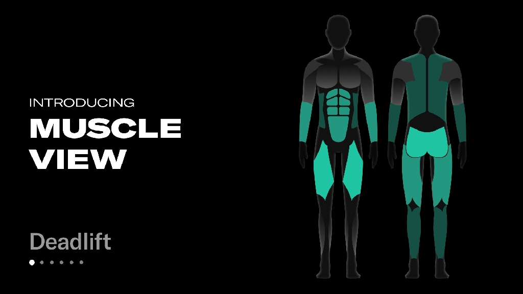 A body chart highlights various muscle regions.