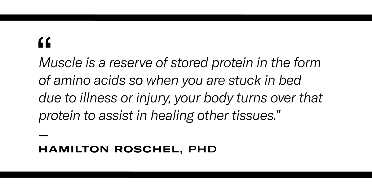 Pulled quote from text: “Muscle is a reserve of stored protein in the form of amino acids so when you are stuck in bed due to illness or injury, your body turns over that protein to assist in healing other tissues.” - Hamilton Roschel, PhD 