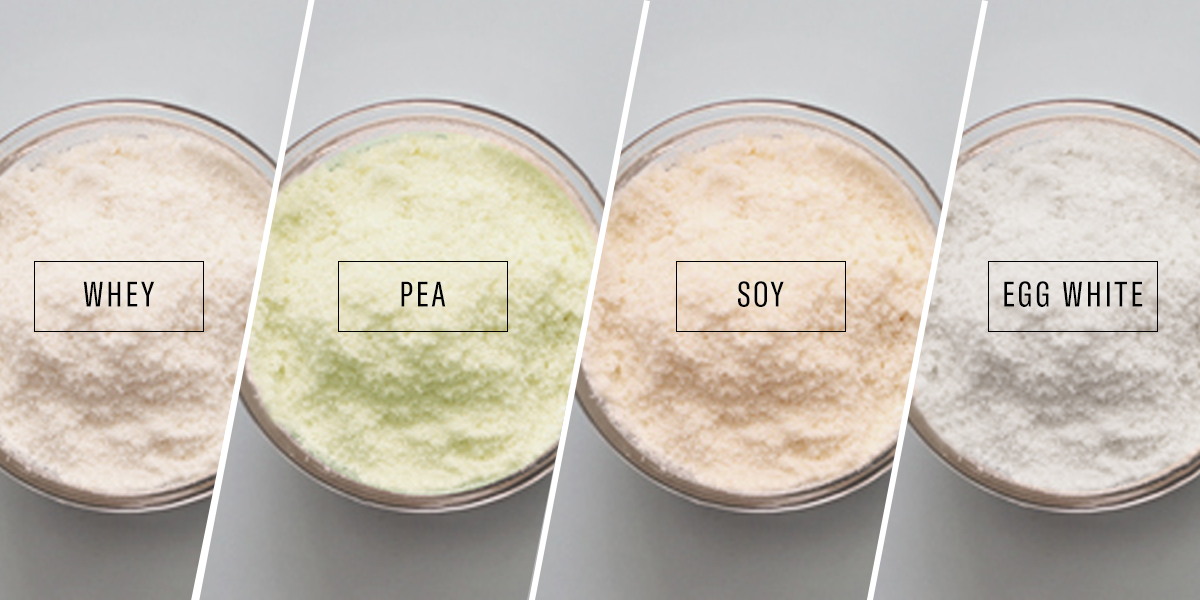 Different types of protein powder