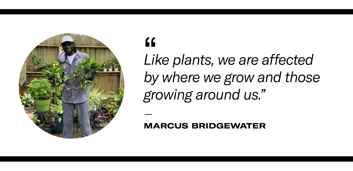 “Like plants, we are affected by where we grow and those growing around us.” - Marcus Bridgewater